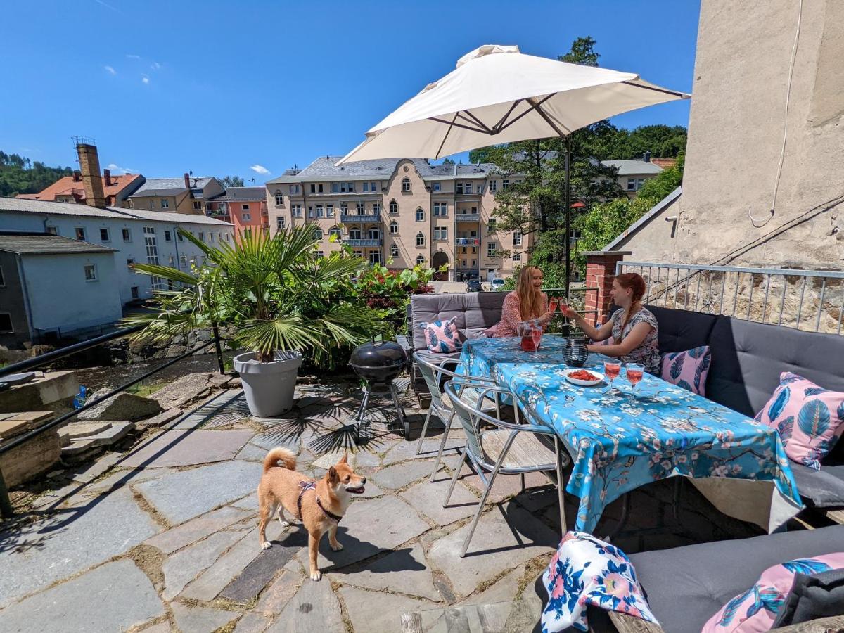 Lichtdurchflutete Helle Wohnung Mit Garten Sauna & Pool - Hw3 Sebnitz Luaran gambar