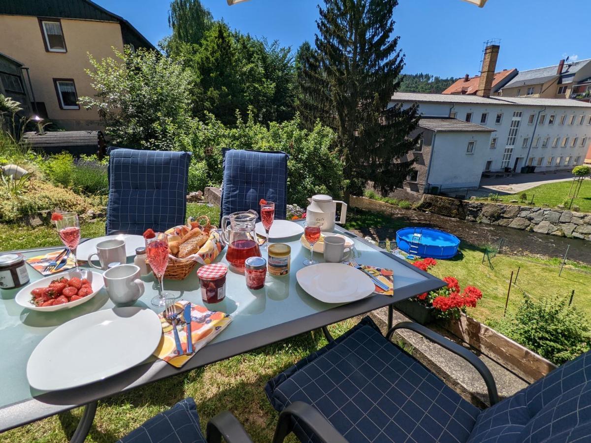 Lichtdurchflutete Helle Wohnung Mit Garten Sauna & Pool - Hw3 Sebnitz Luaran gambar