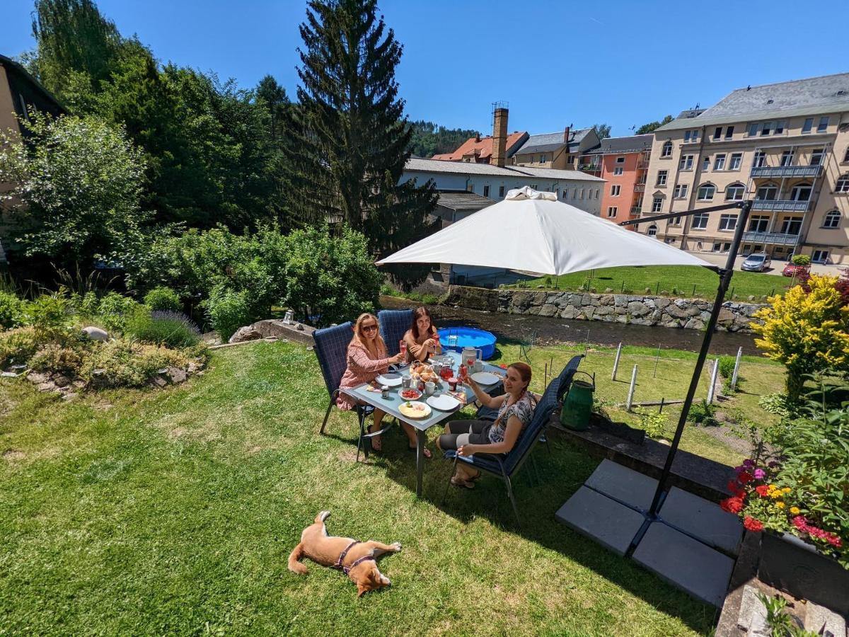 Lichtdurchflutete Helle Wohnung Mit Garten Sauna & Pool - Hw3 Sebnitz Luaran gambar