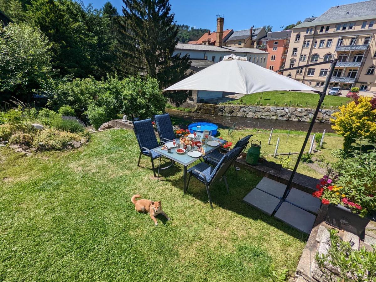 Lichtdurchflutete Helle Wohnung Mit Garten Sauna & Pool - Hw3 Sebnitz Luaran gambar